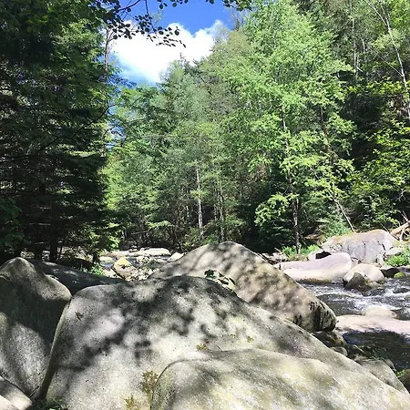 S Vyhledem Na Jezero Lipno nad Vltavou